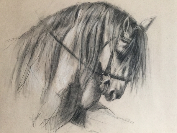 The Iberian by Ann Sherman