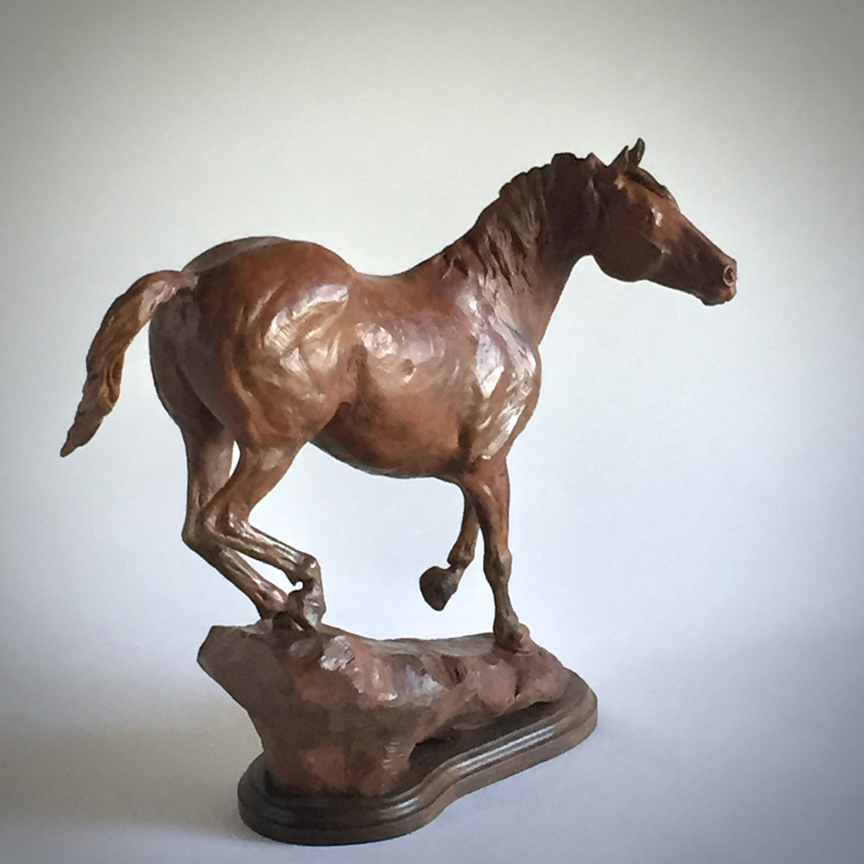 Click here to view Sculpture Scout 2 by Ann Sherman